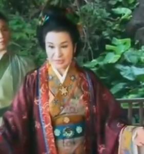 台湾歌仔戏演员,传承与创新之间的璀璨星光